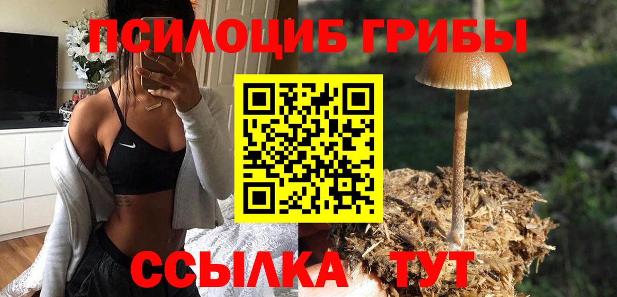 Галлюциногенные грибы прущие грибы Новоалександровск