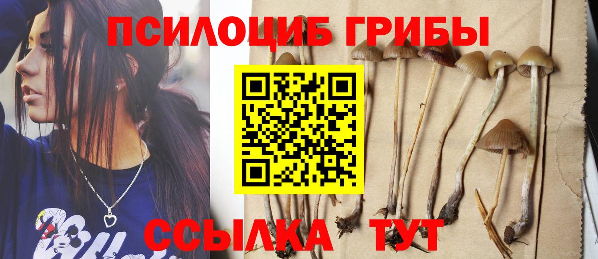 NBOMe  Канабис  Новоалександровск  Лсд 25  Гашиш  Вход с VPN  Меф МЯУ МЯУ кристаллы  Кокаин  МЕТ 