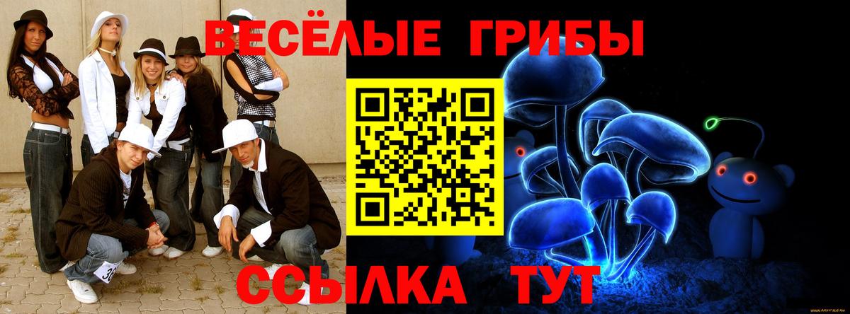 Галлюциногенные грибы Cubensis  Псилоцибиновые грибы мицелий  Вход с VPN  Новоалександровск 
